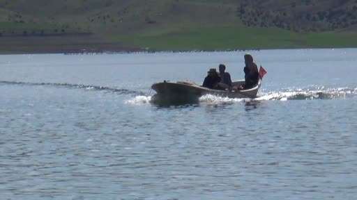 Denize kıyısı olmayan Yozgat’taki gümüş balıkları Avrupalılara çerez oluyor