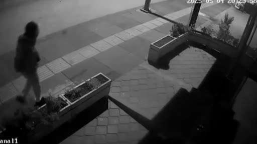 Ankara’daki kedi hırsızlığı kameraya yansıdı