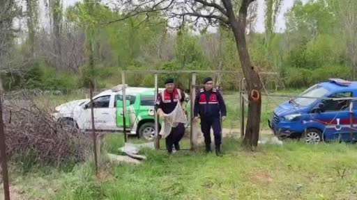 Yavru yaban tavşanına jandarmadan yardım eli