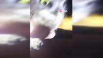 Yolda rastladığı yavru baykuşla kurduğu diyalog iç ısıttı