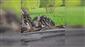 Tır şarampole devrildi, sürücüsü yaralandı