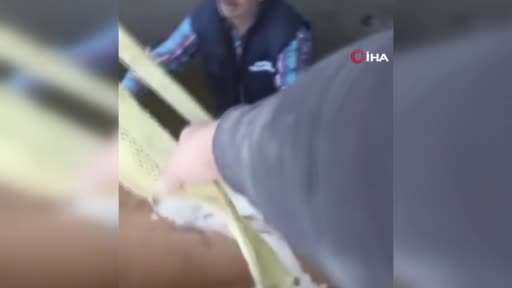 Fosseptik çukuruna düşen inek kurtarıldı