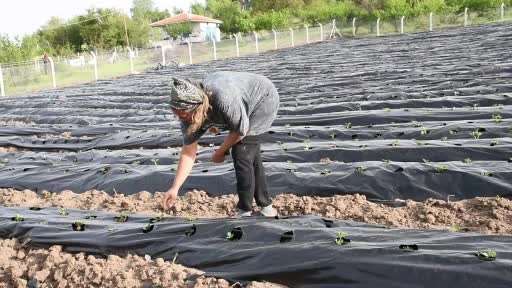 Pandemi günlerinde Ankara’yı terk etti, memleketinde üretici oldu, şimdi talepleri yetiştiremiyor