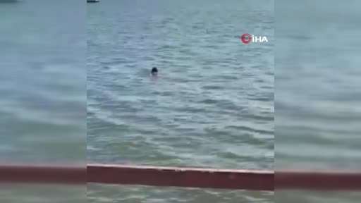’Kurtuldum’ diye bağırıp kendini göle attı