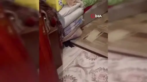 Kapının önünde oturan ev sahibine hırsızlık şoku