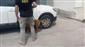 Narkotik köpeği "İda" otomobile gizlenmiş 5 buçuk kiloluk esrar maddesini buldu