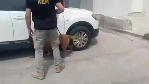 Narkotik köpeği "İda" otomobile gizlenmiş 5 buçuk kiloluk esrar maddesini buldu