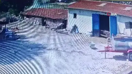 Farelerin kemirdiği kablodan çıkan yangın ahırı kül etti: 30 koyun son anda kurtarıldı