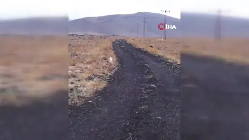 Bakan Yumaklı: "Orman Dede sadece ağaç dikmedi; acısını ormana çevirdi, sevgisini toprağa işledi"