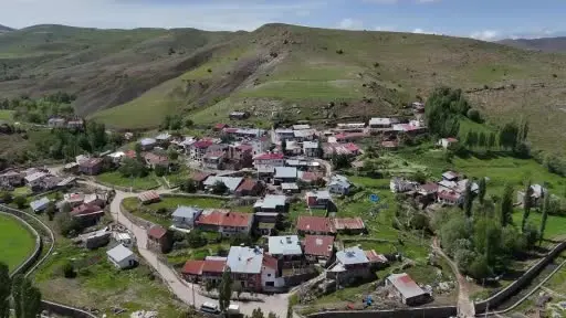 Türk ve Japon bilim adamları Sivas ve çevresinde ölümcül kenelerle ilgili bilimsel saha çalışması başlattı