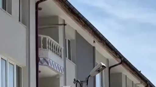 İpe takılarak mahsur kalan kuş, itfaiye ekiplerince kurtarıldı