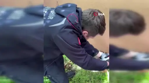 Duvarın içinde mahur kalan kedi itfaiye ekipleri tarafından kurtarıldı