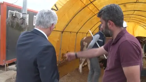 TVHB Merkez Konseyi Başkanı Eroğlu, kurban pazarında veteriner hekimlerin uğradığı şiddete dikkat çekti