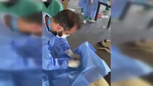 Üniversite desteğiyle en az 200 sokak köpeği kısırlaştırıldı