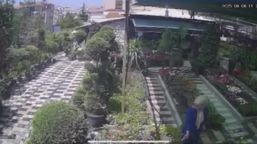 Karaman’da firar eden kurbanlık koyun girdiği fidanlıkta yakalandı