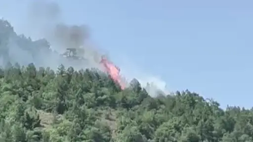Ankara’da orman yangını çıktı