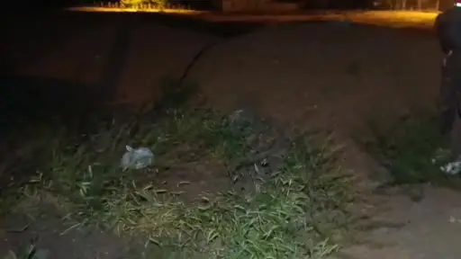 İzmir’den Aksaray’a uyuşturucu sevkiyatına jandarma darbesi