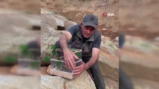 Kırşehir’de saka kuşu avcılarına operasyon: 2 kişi yakalandı