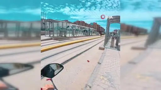 Tramvay rayları üzerindeki başı boş at şaşırttı