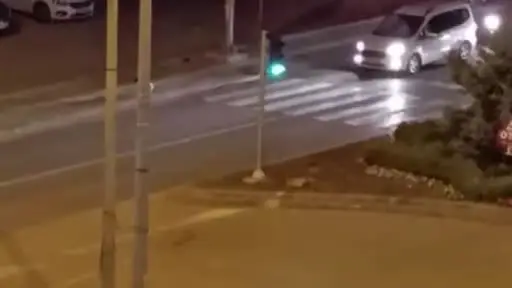 Yaya geçidinden yolun karşısına geçen kazlar kamerada