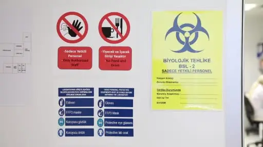 KKKA aşısında sona doğru: İnsan üzerinde çalışmalar başlayacak