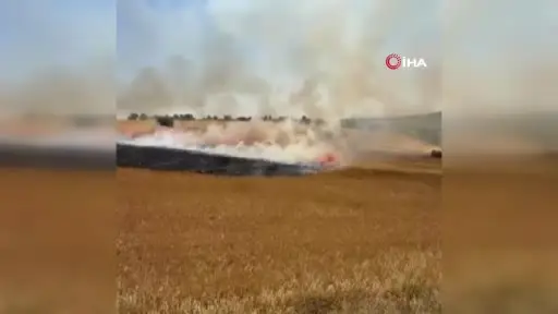 Karaman’da 200 dekar ekili alan kül oldu