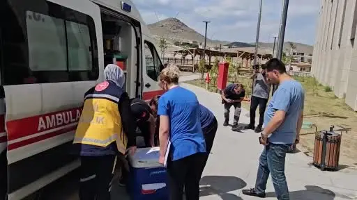 Kazada ölen motosikletlinin organları 5 hastaya umut oldu