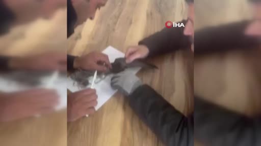 Ağlara takılan kuşu itfaiye kurtardı