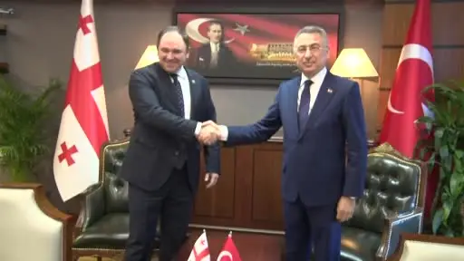 TBMM Dışişleri Komisyonu Başkanı Oktay, Gürcistan Meclis Başkanı Papuashvili ile görüştü