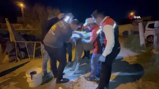 Birinci sınıf öğrencisi Eyüphan yaralı tayı için Bakan Yumaklı’dan destek istedi: Ekipler yardımına koştu