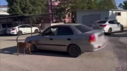 Ekmeğin içinden uyuşturucu çıktı: 2 gözaltı
