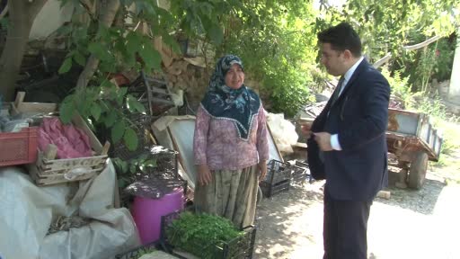Sarıcakaya Kaymakamı kolları sıvayıp hasat için tarlaya girdi