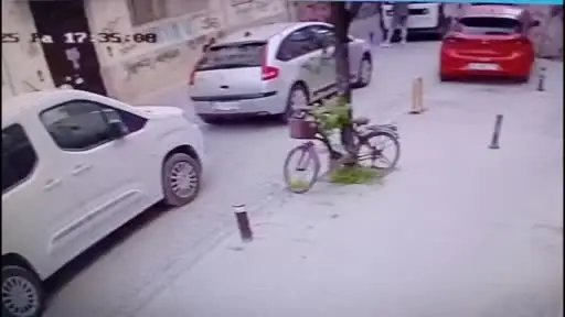Köpeği, çişini yaptırmak için indirip yere fırlattı