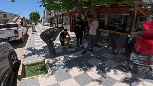 Kırmızı listedeki Afrika Papağanı Aksaray’da yakalandı