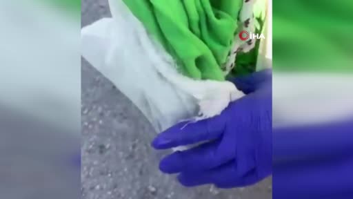 Tarihi eser kaçakçıları yakayı ele verdi