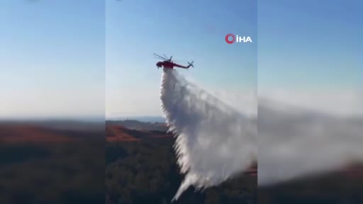 İzmir Aliağa’daki orman yangını kontrol altına alındı
