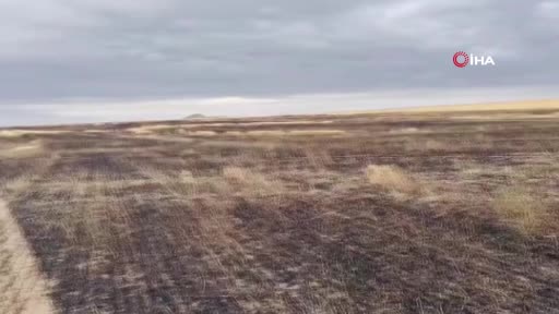 Yangın sonrası doğadaki canlılar kontrol edildi