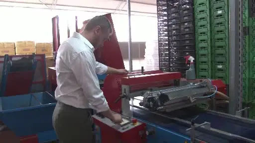 Eskişehir’den 10 milyon bitki fidesi Türkiye’nin dört bir yanına gönderiliyor