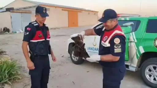 Boğazlıyan’da bulunan yaralı şahin, koruma altına alındı
