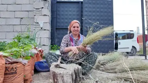 Ata mirasını yaşatıyor: Ot süpürgesi geleneğini sürdürüyor