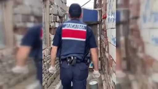 Kırıkkale’de evin bahçesinde bin 53 kök kenevir ele geçirildi: 2 gözaltı