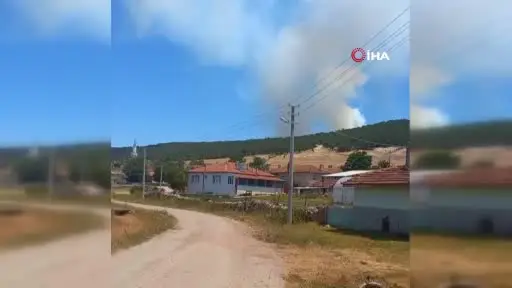 Seyitgazi’de orman yangını