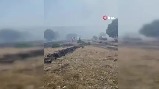 Seyitgazi’de orman yangınına ekiplerin müdahalesi başladı