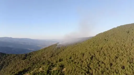 Çankırı’daki orman yangını 6 buçuk saatlik çalışmayla kontrol altına alındı