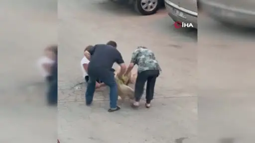 Ağızlıksız dolaştırılan pitbull, hem köpeğe hem de kendi sahibine saldırdı