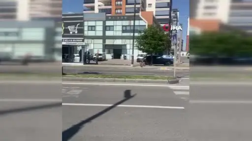 Dağların eşsiz tırmanıcıları yolunu şaşırıp kent merkezine indi