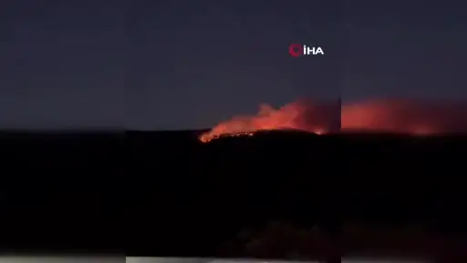 Çankırı’da orman yangını