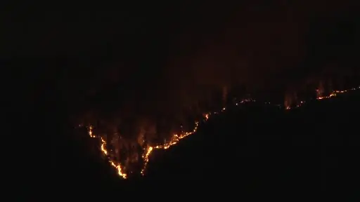 Çankırı’daki orman yangınına ekiplerin müdahalesi sürüyor