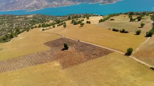 Emekli olup döndüğü köyünde lavantadan sonra salep yetiştirmeyi hedeliyor