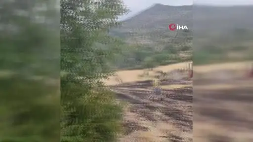 Ormana sıçrayan anız yangını korkuttu